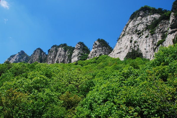 参赛作品：老界岭“峰丛”风光二.jpg